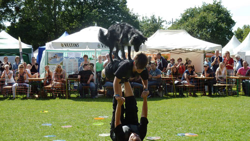 Dog Days Hannover - Das Hunde Open Air am Stadion - 